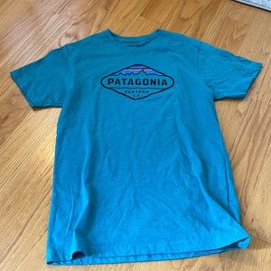 Patagonia Fitzroy crest short sleeve T-shirt slim fit size small blue green